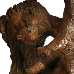 Les Vénus callipyges